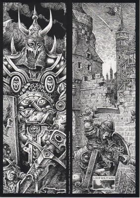 The elder scrolls V - BLABLA sur l'univers de Skyrim - Page 8 JDR-20--20LOUP-20SOLITAIRE-20--20ECRAN-202
